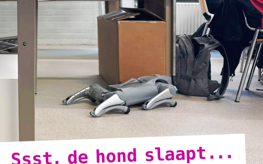 Ssst.. de robothond slaapt